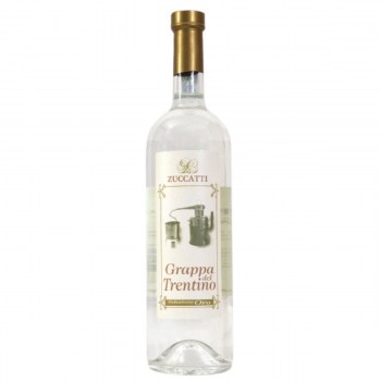 grappa trentina